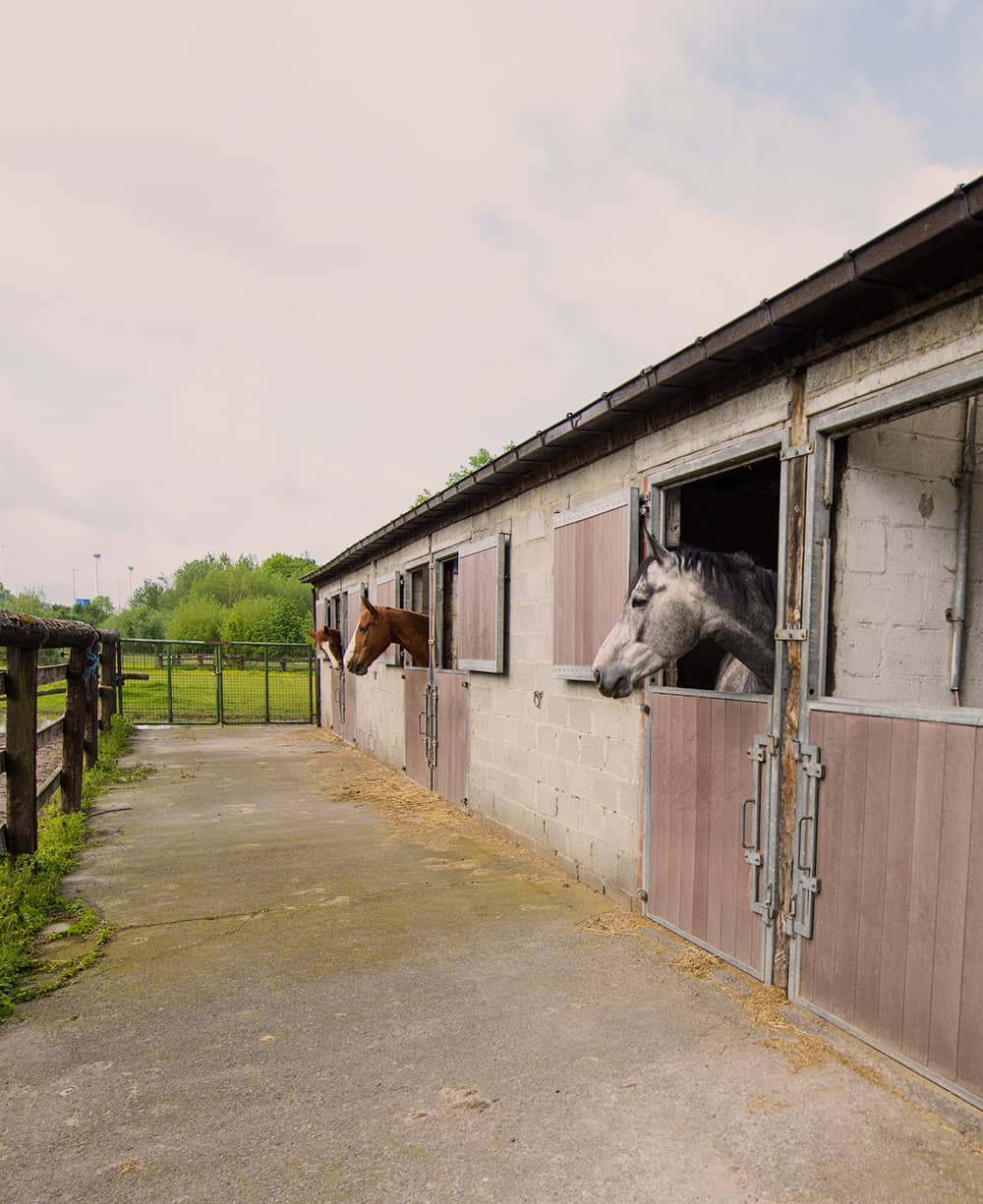 Stallen en accommodatie van Manège Gaverranch